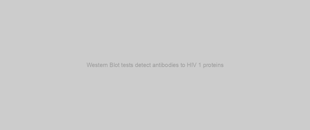Western Blot tests detect antibodies to HIV 1 proteins
